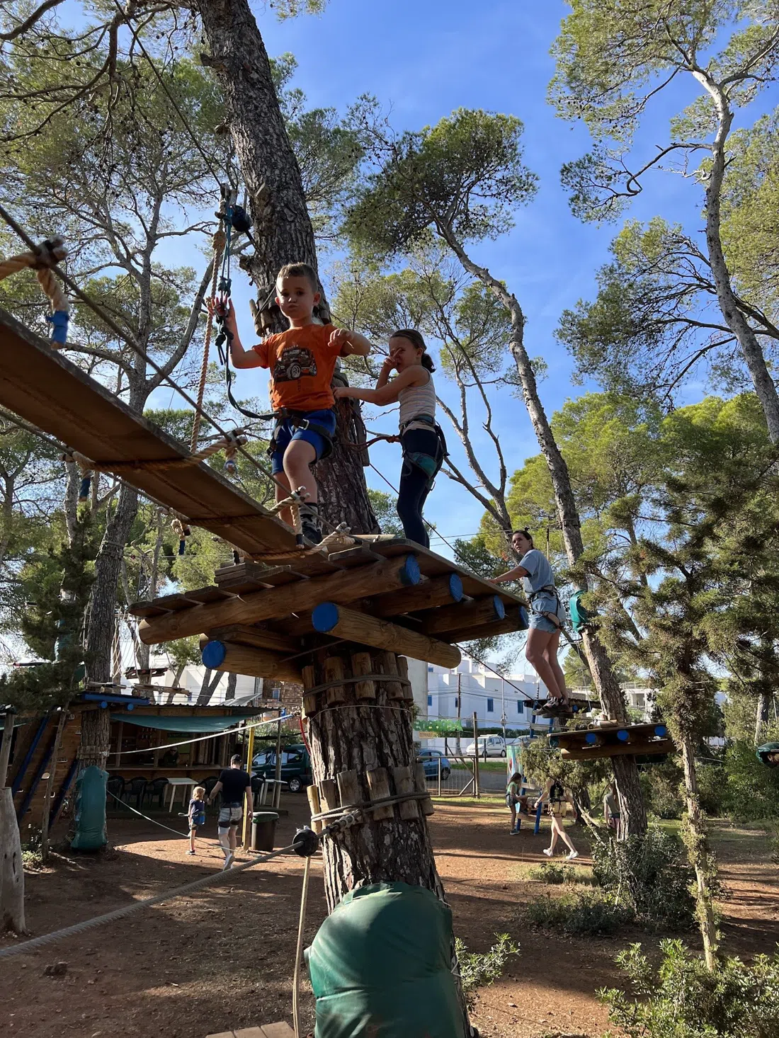 Acrobosc Ibiza, Ibiza