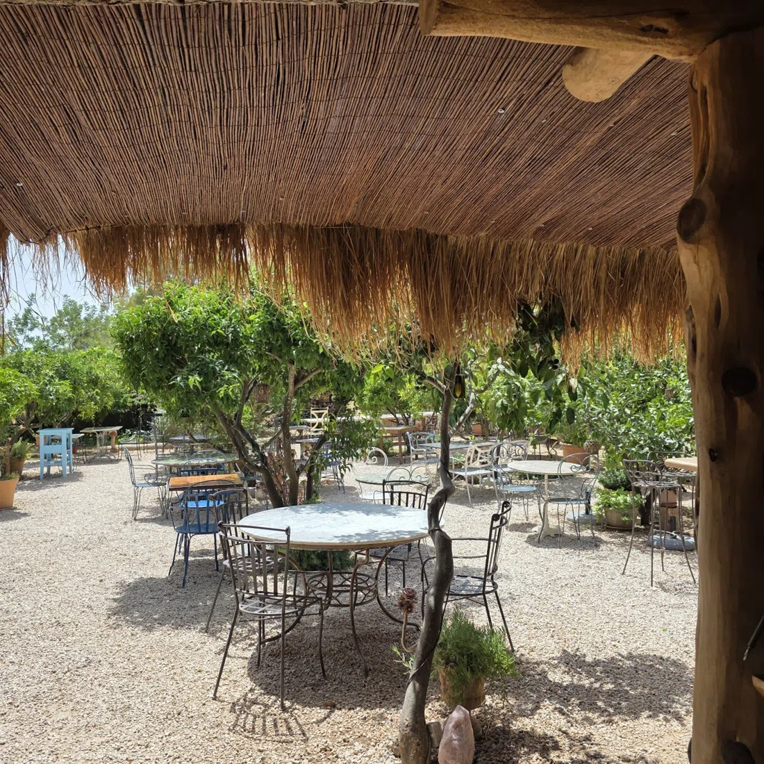 La Paloma, Ibiza