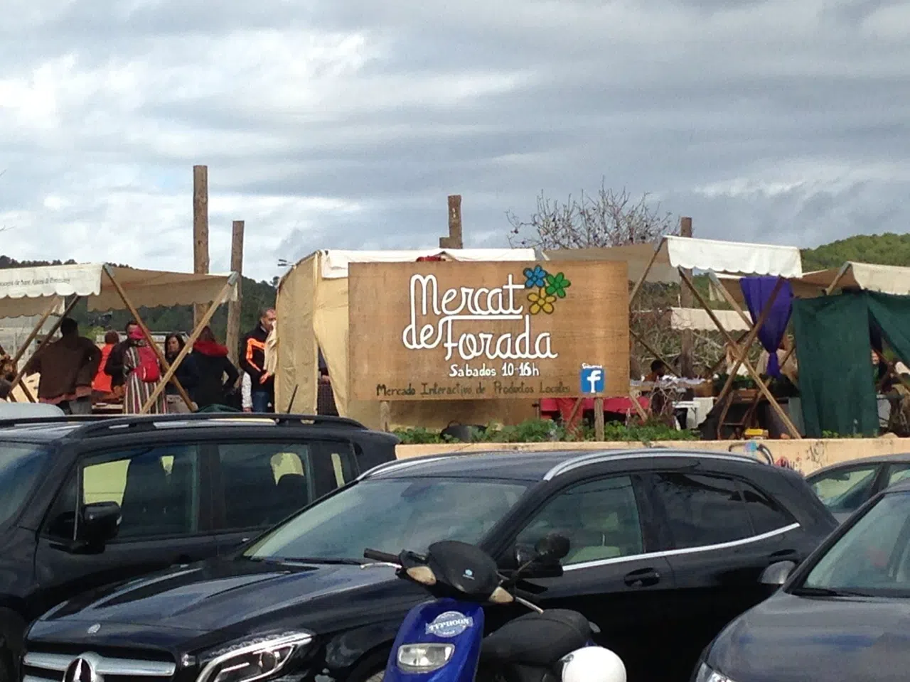 Ibiza's Fig Harvest and the Trees Farmers Prop Up