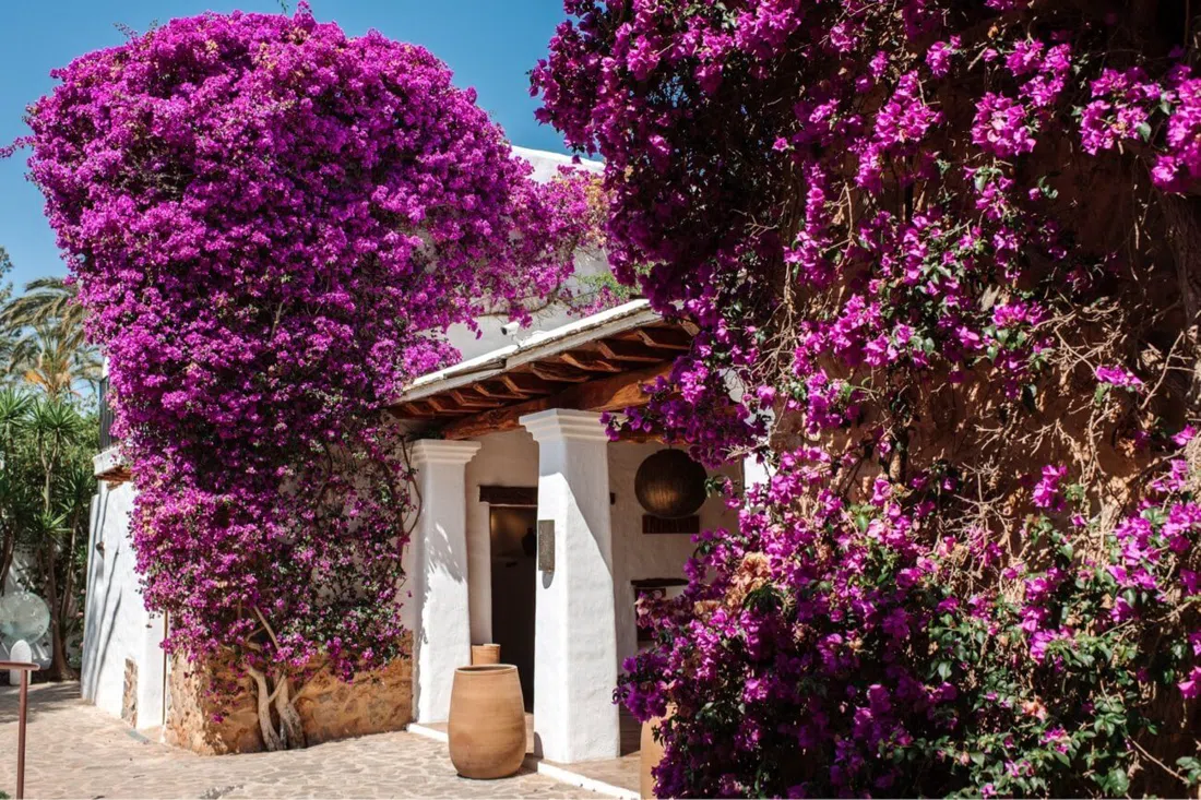 Atzaró Agroturismo Hotel & Spa, Ibiza
