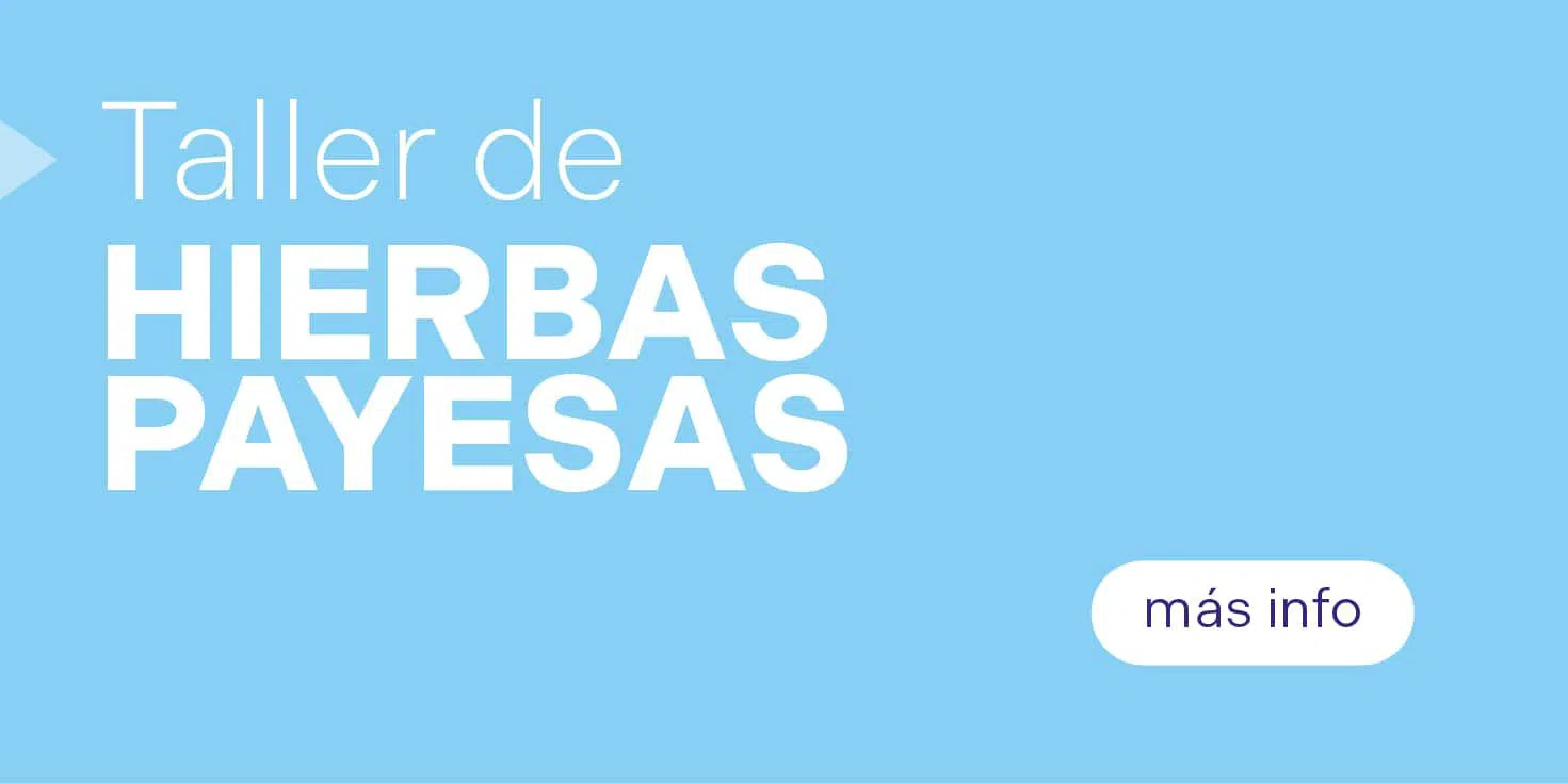 Fluxà Ibiza — Artisanal Hierbas Workshop, Ibiza